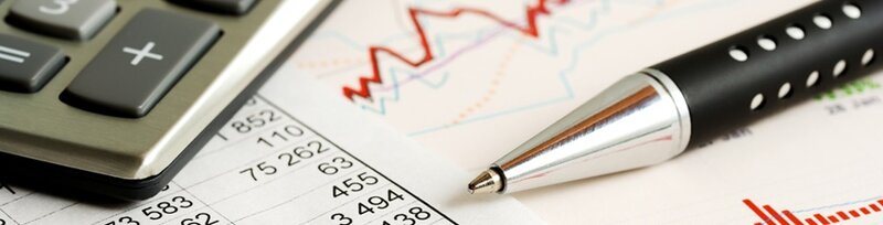 Vera Dinescu - Contabilitate, resurse umane, consultanta financiara, Targoviste